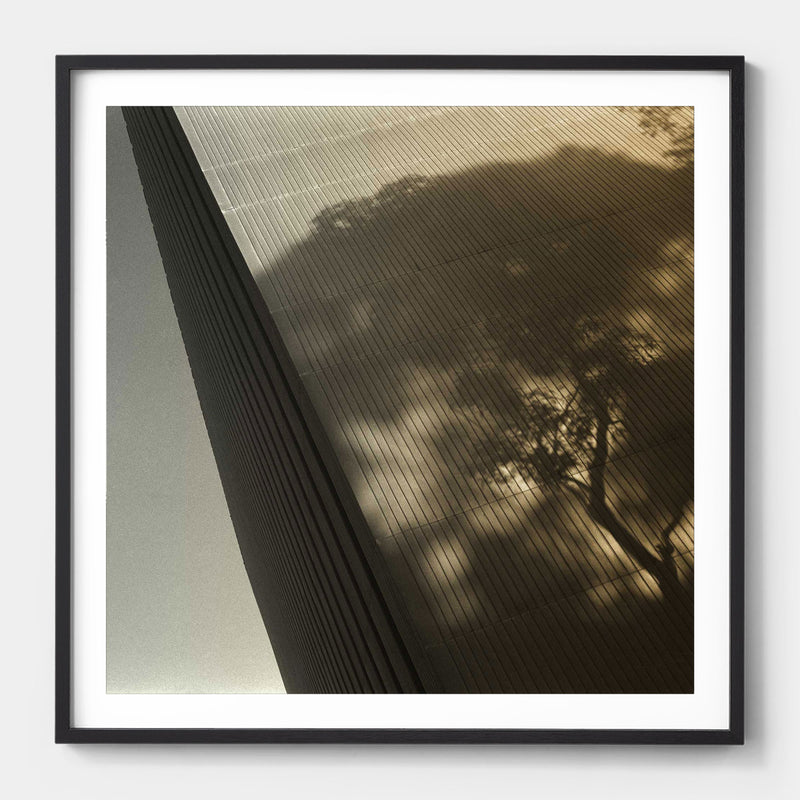 Archi-tree