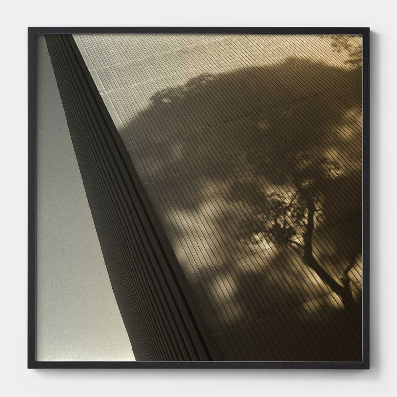 Archi-tree