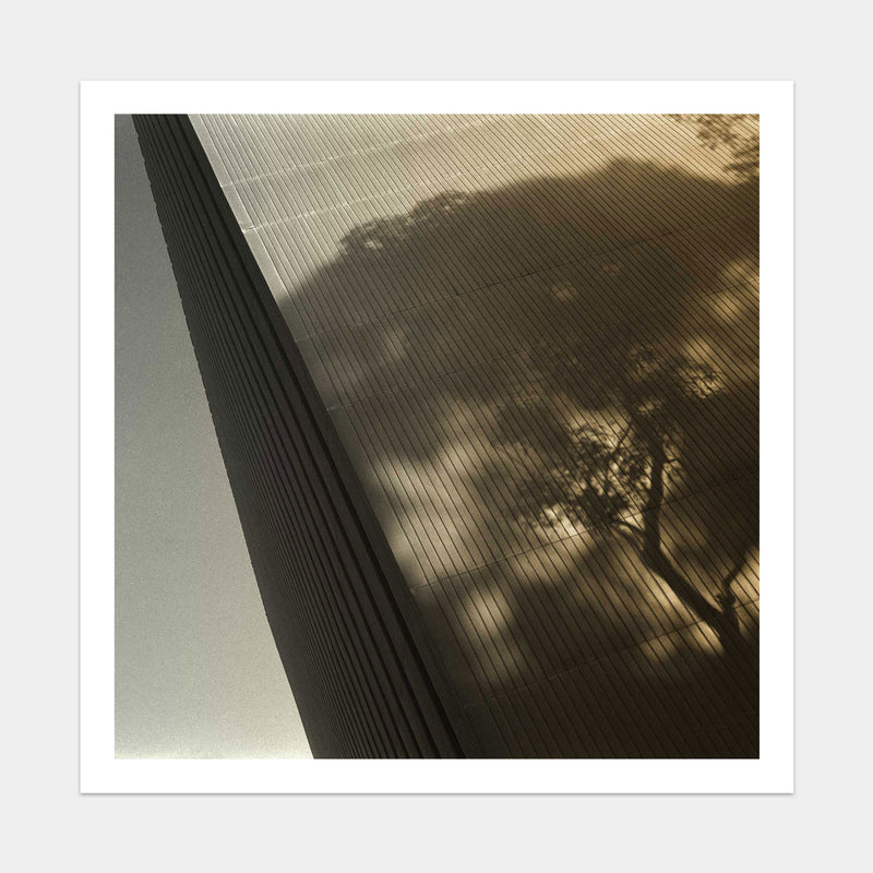 Archi-tree