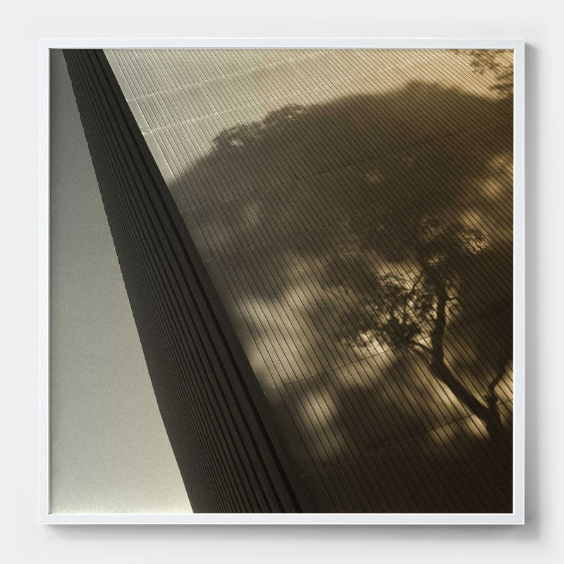 Archi-tree