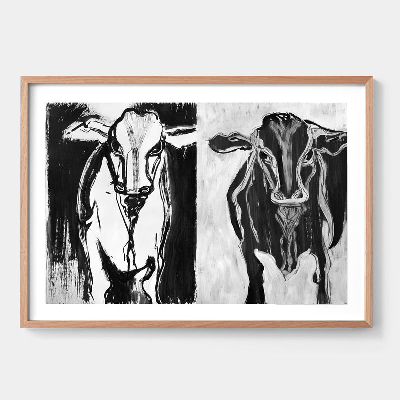 Bundanon Bulls