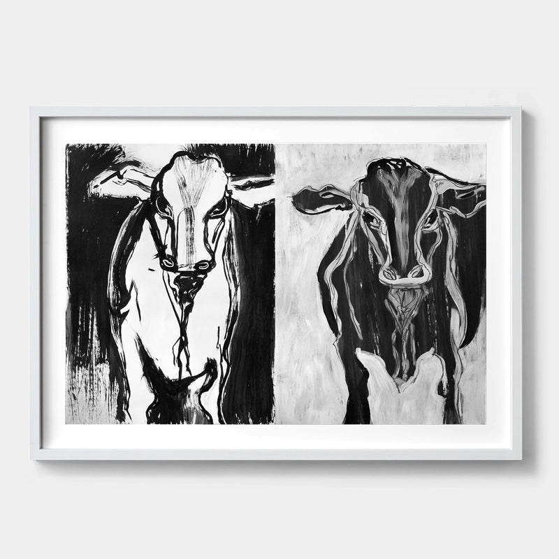 Bundanon Bulls