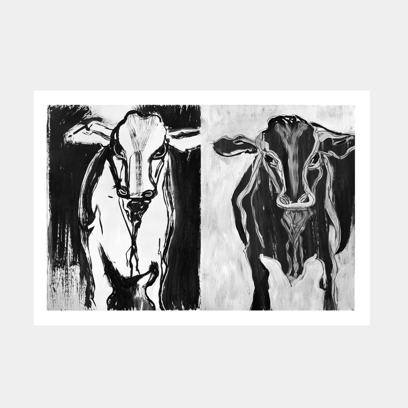 Bundanon Bulls