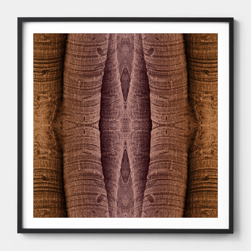 Trunkated #01