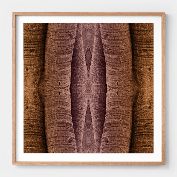 Trunkated #01