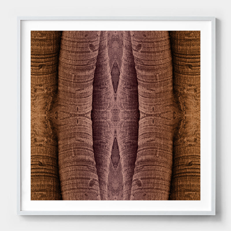 Trunkated #01