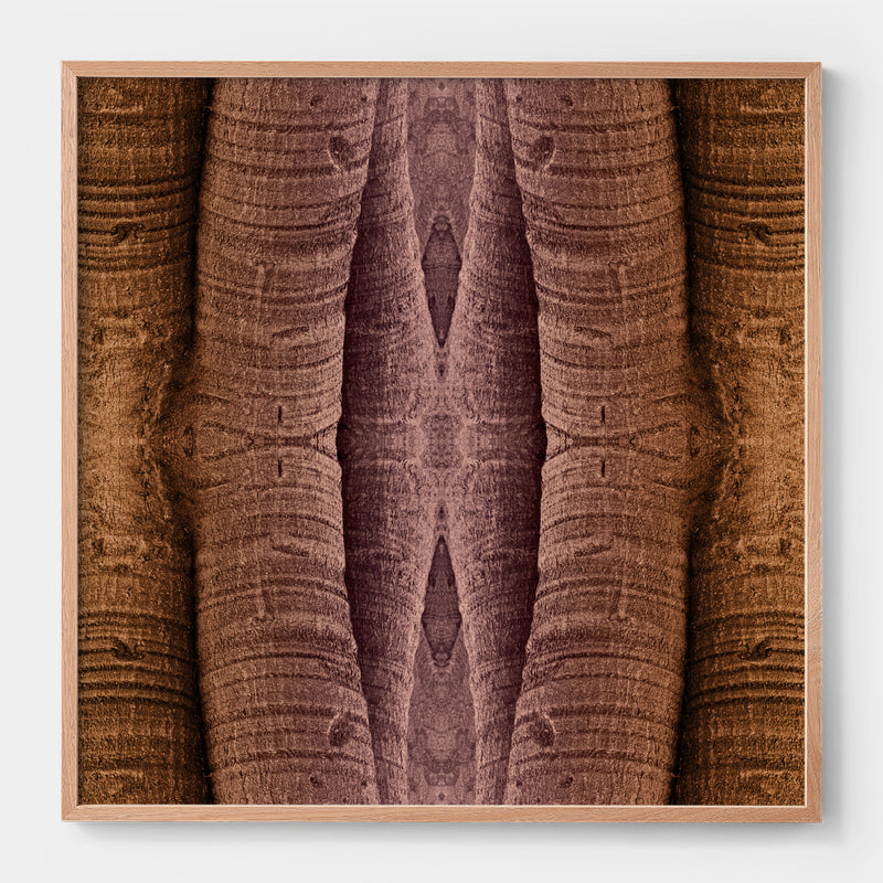 Trunkated #01