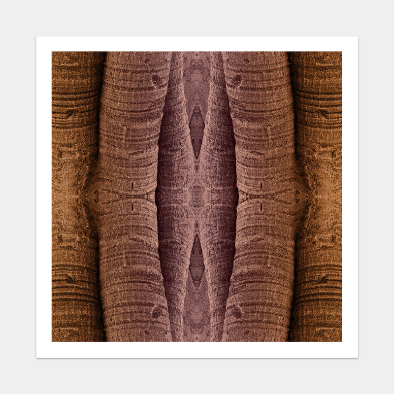 Trunkated #01