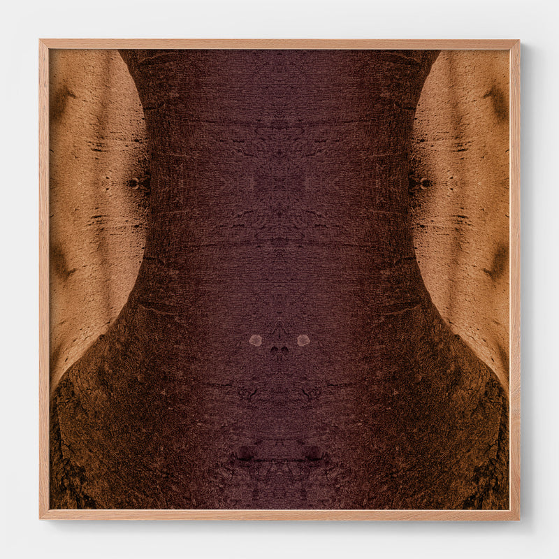 Trunkated #10