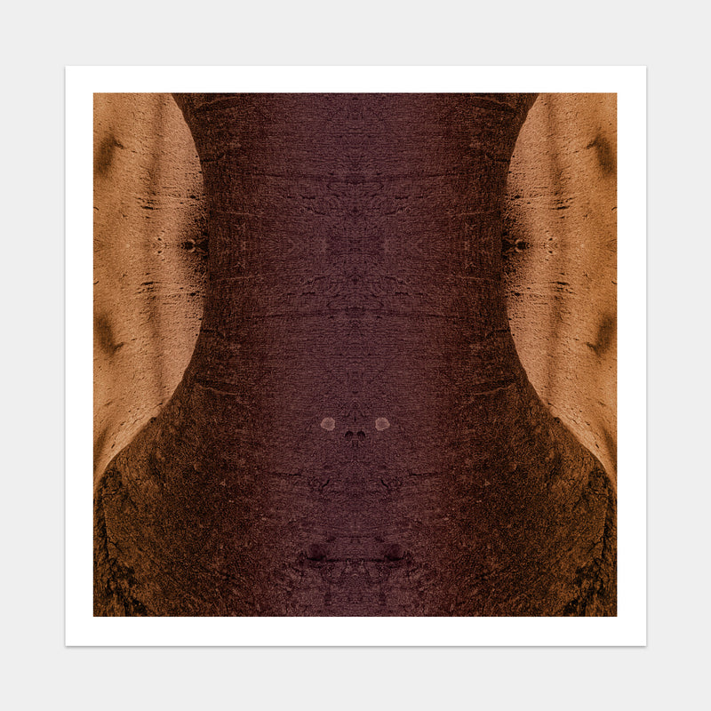 Trunkated #10