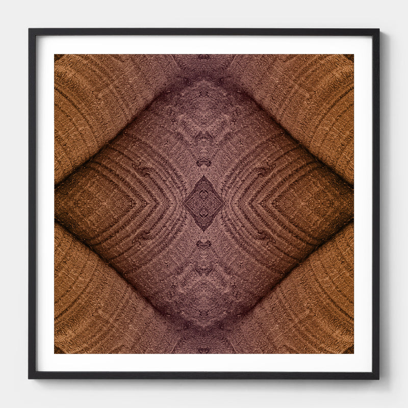 Trunkated #02