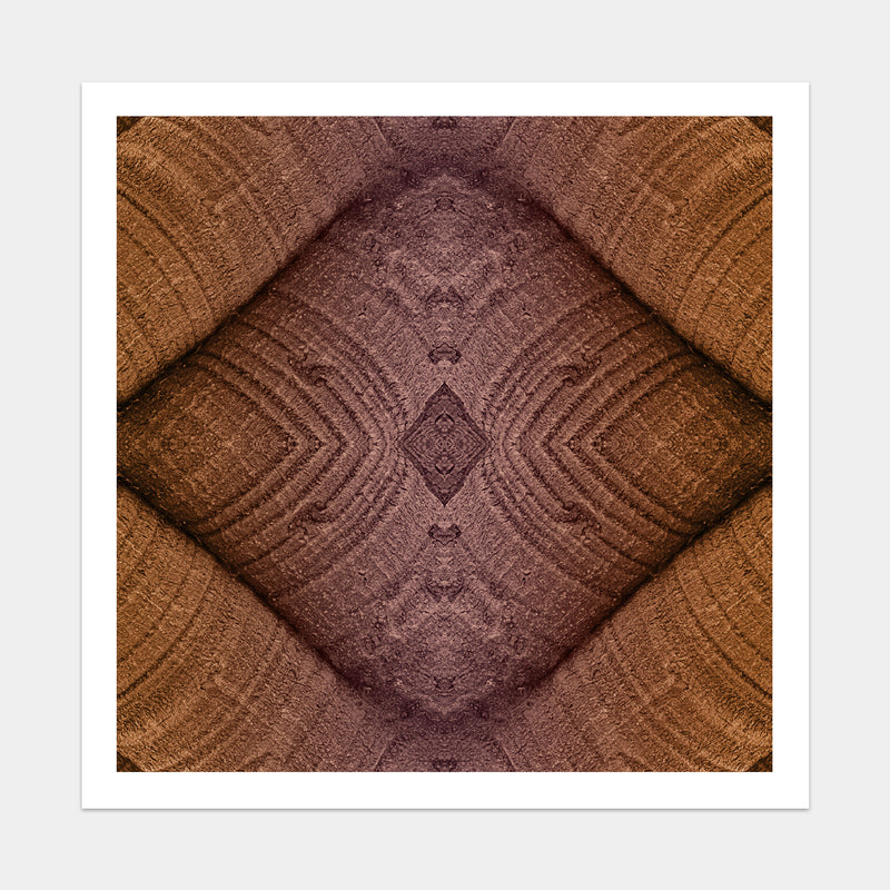 Trunkated #02