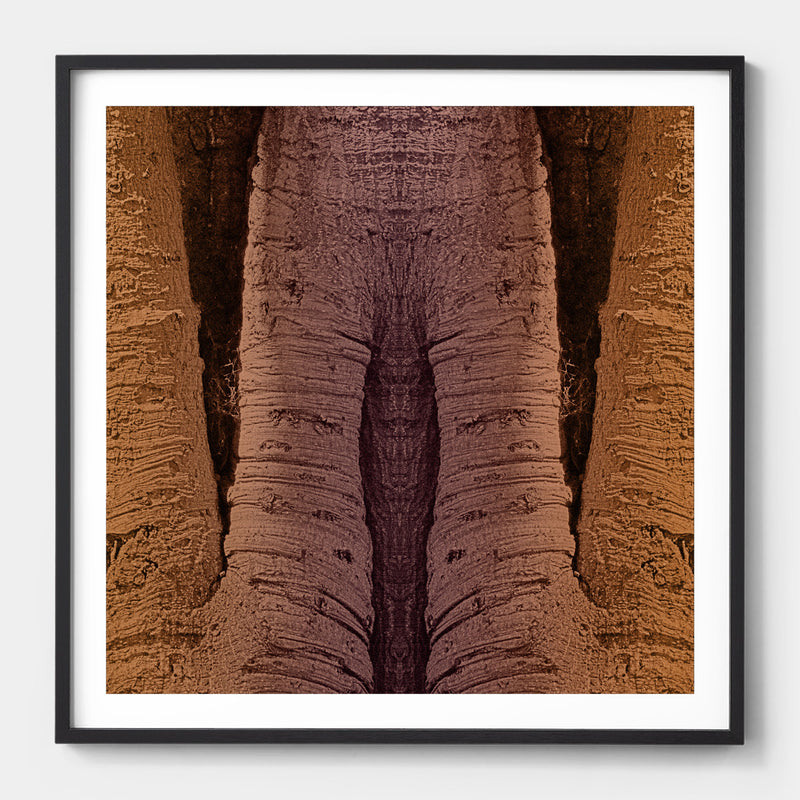 Trunkated #03