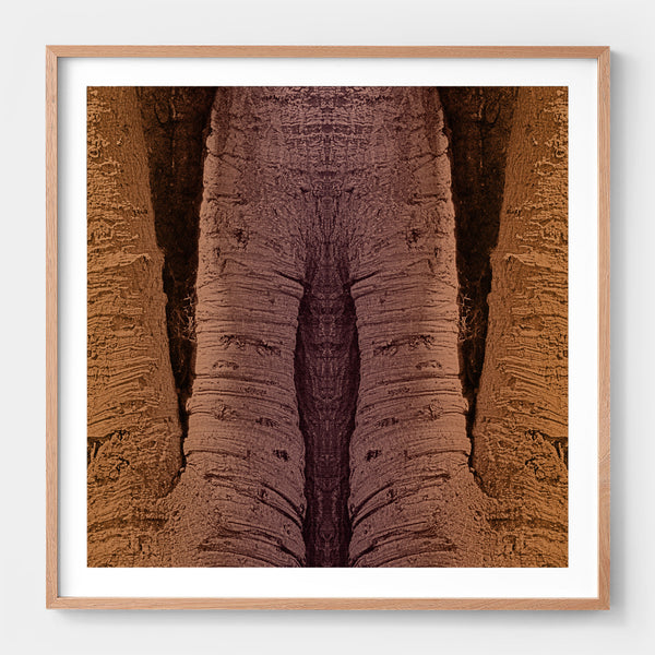 Trunkated #03