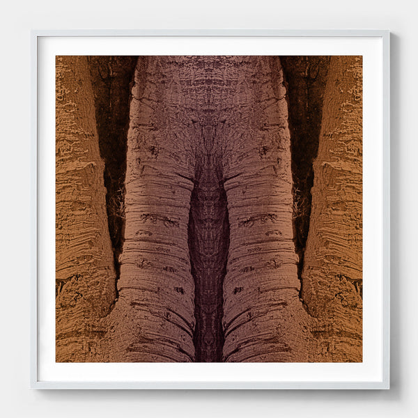 Trunkated #03
