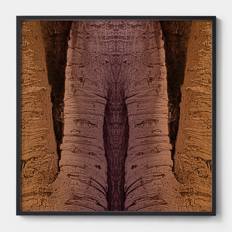 Trunkated #03