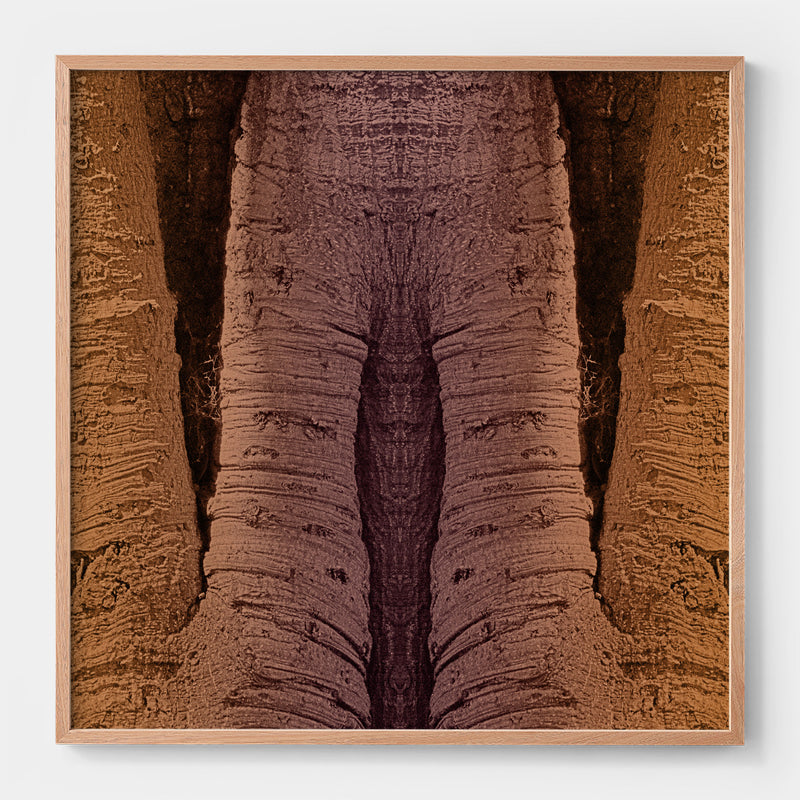Trunkated #03