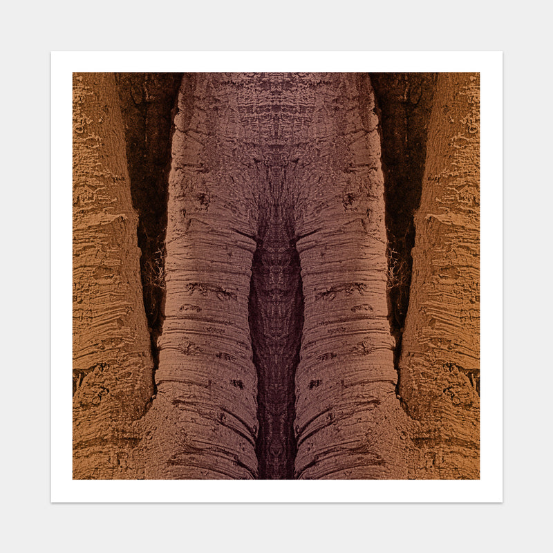 Trunkated #03