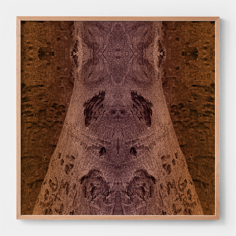 Trunkated #04