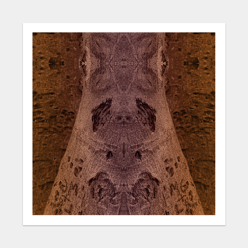 Trunkated #04