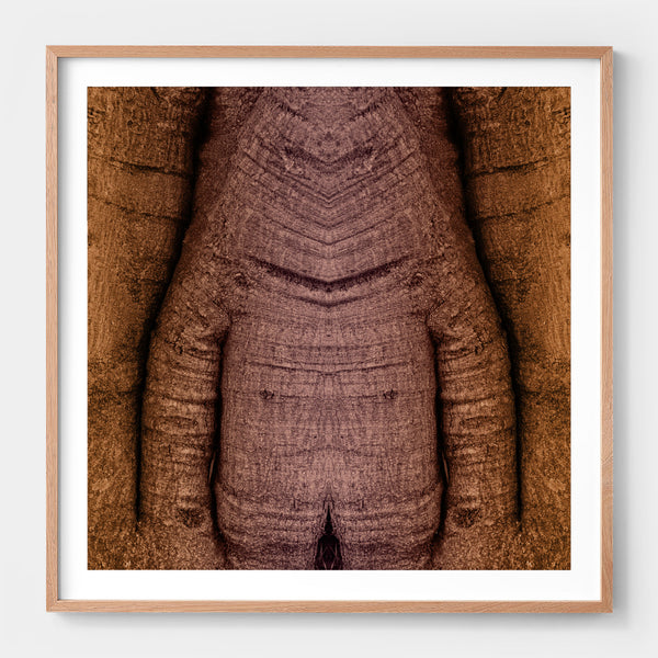 Trunkated #05