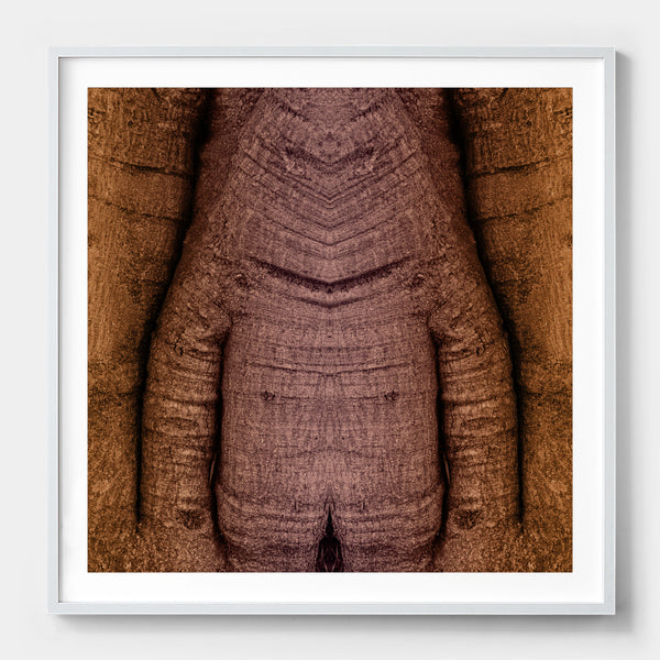 Trunkated #05