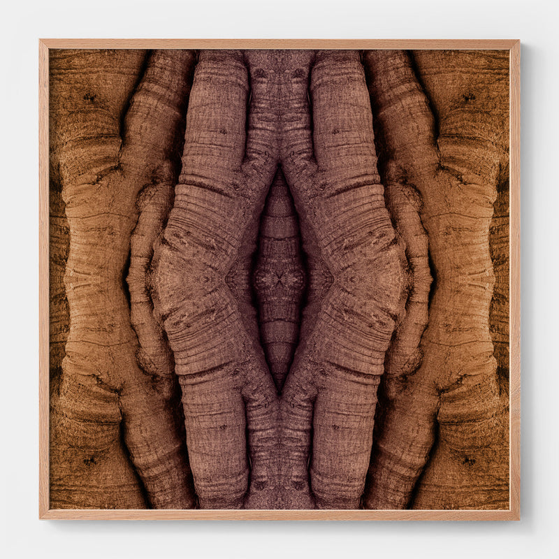 Trunkated #07