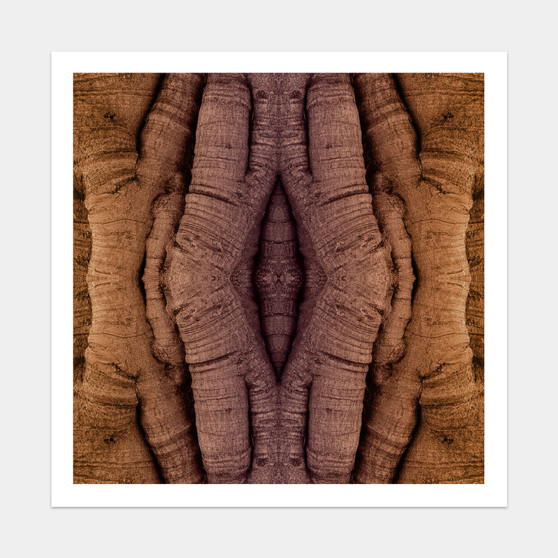 Trunkated #07