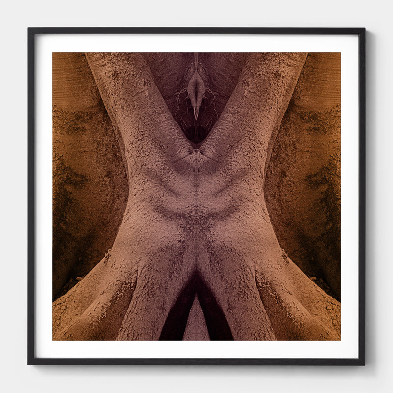 Trunkated #08