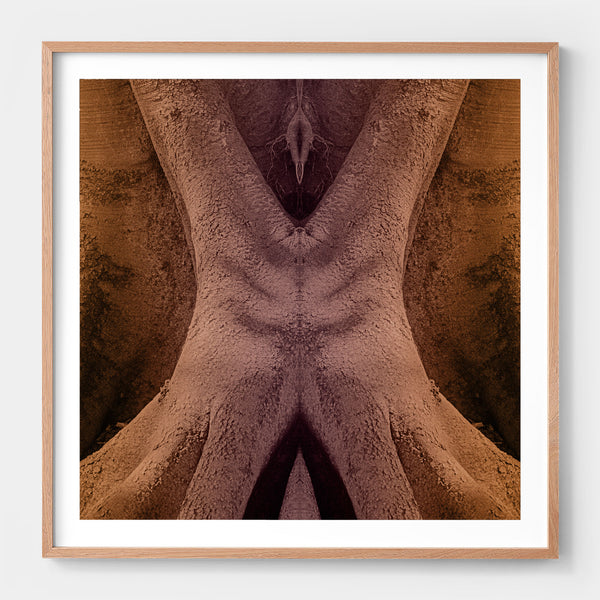 Trunkated #08