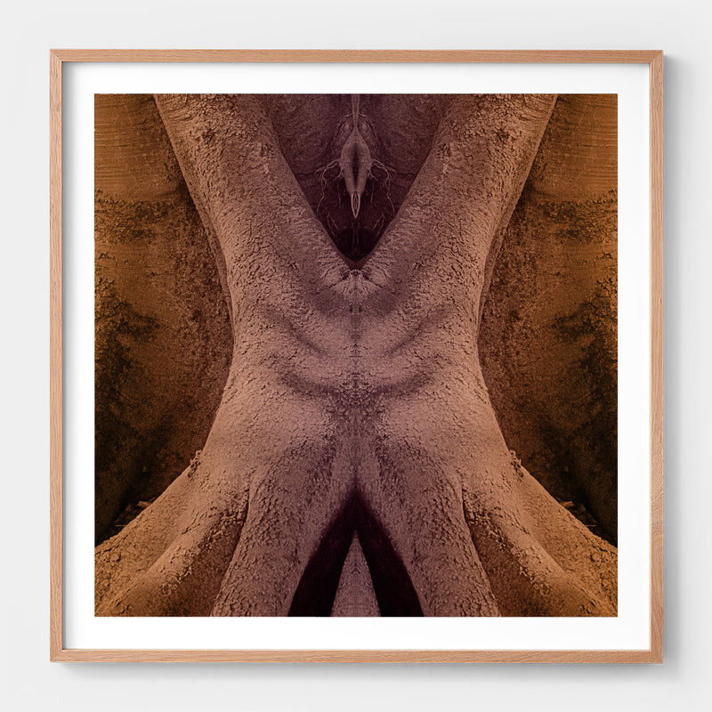 Trunkated #08