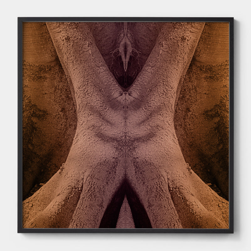 Trunkated #08