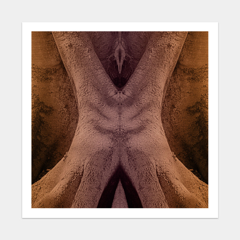 Trunkated #08